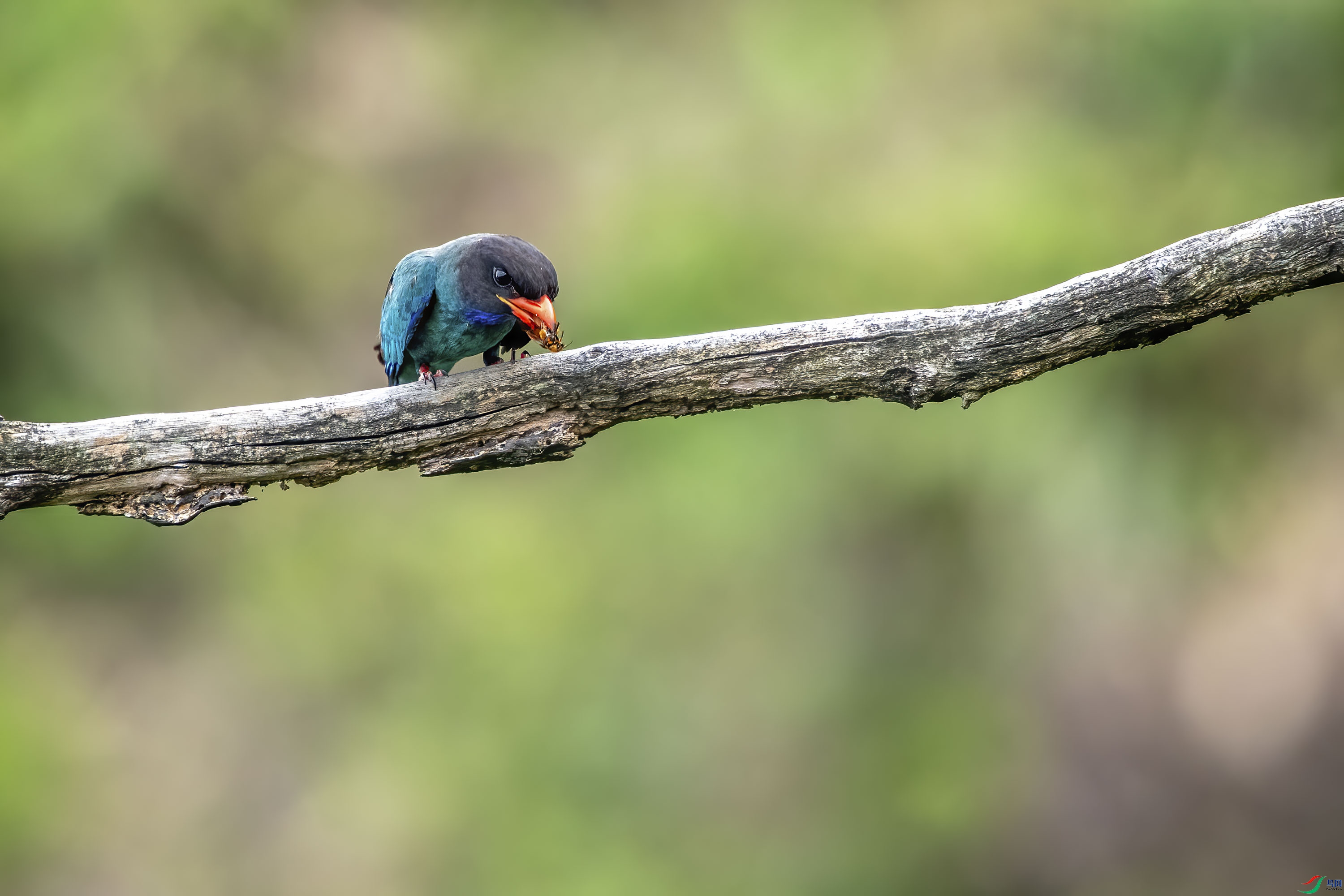DSC_0821.jpg