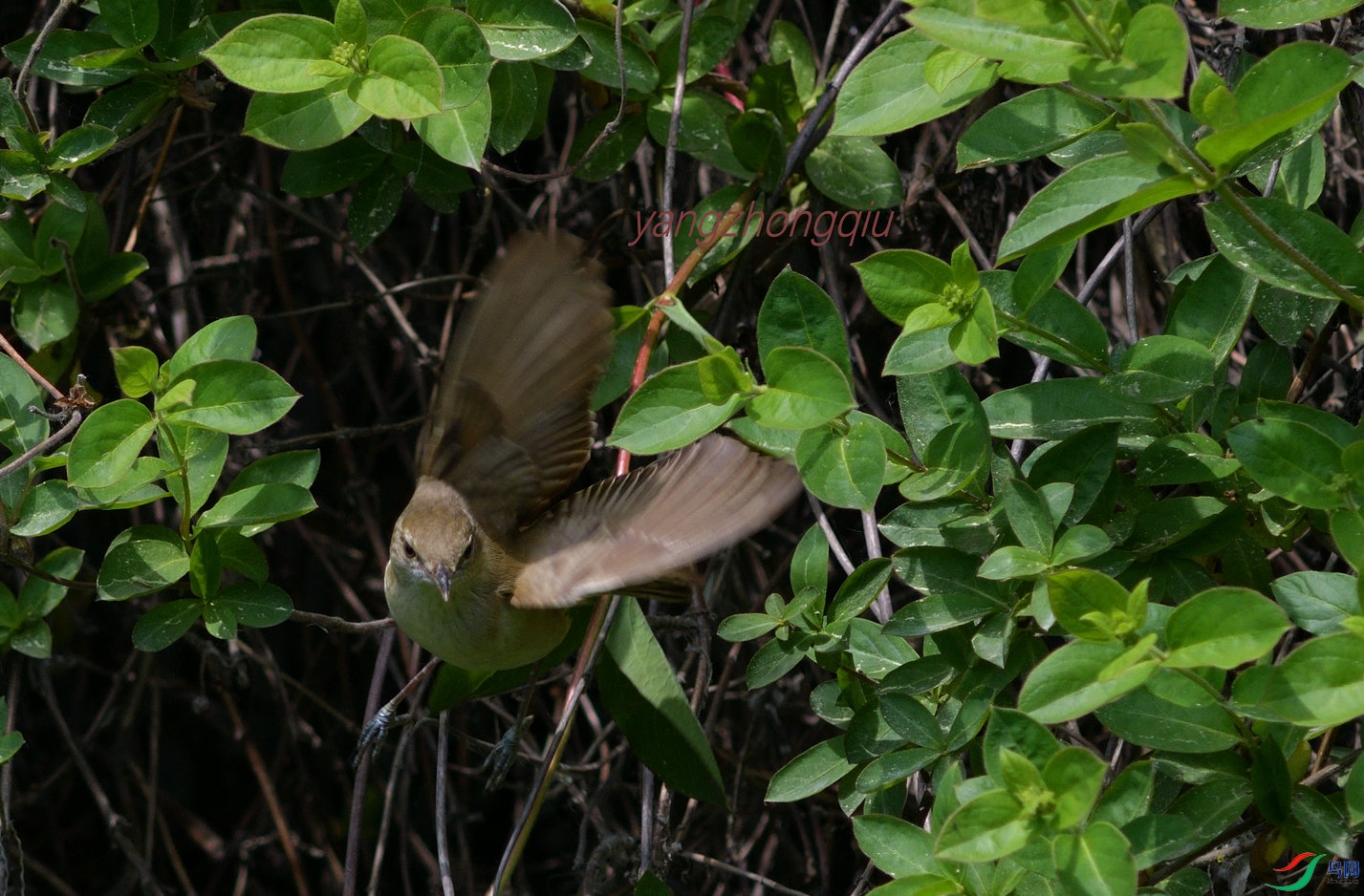 DSC_8622_����.JPG