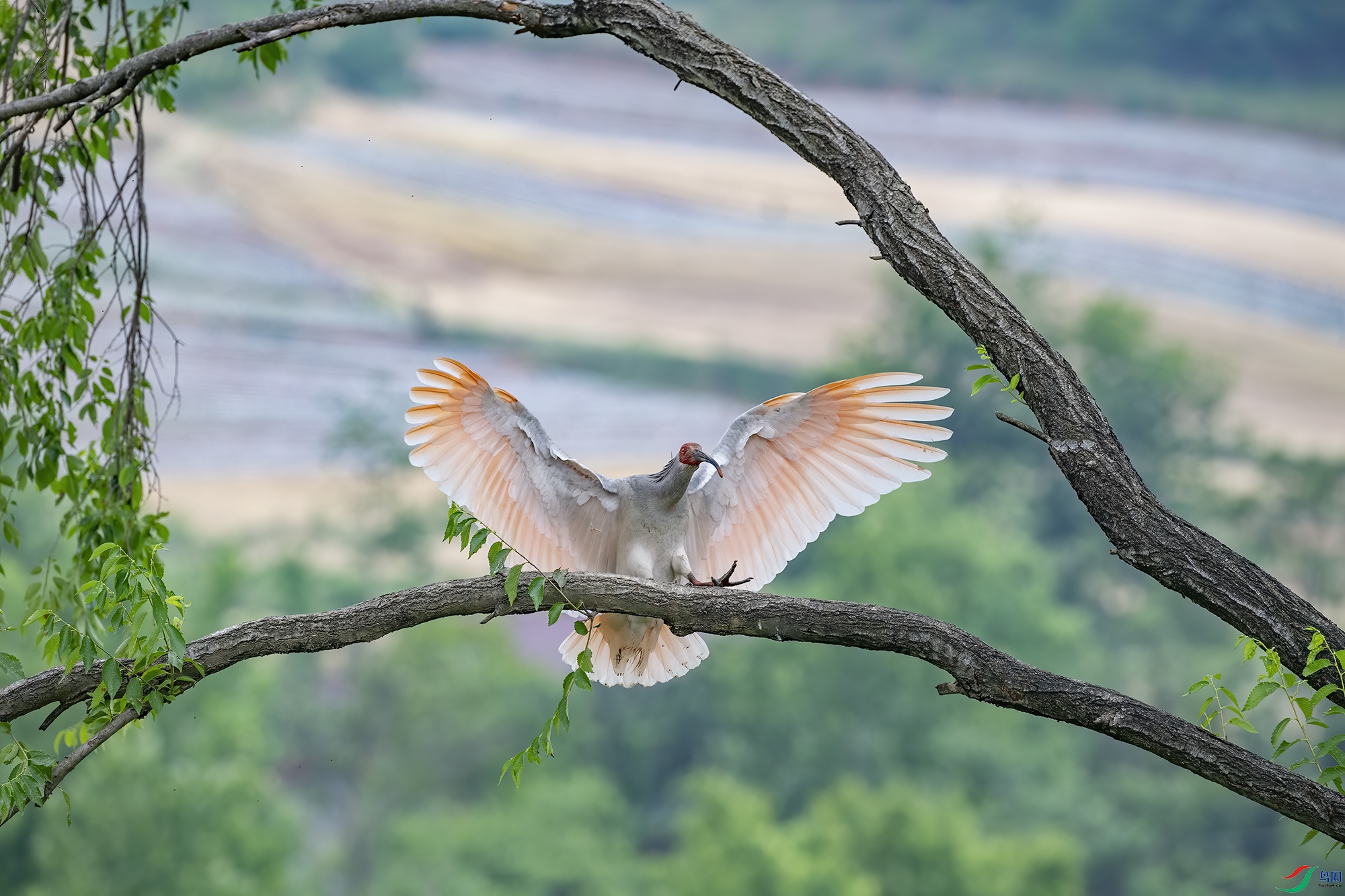 DSC_6141.jpg