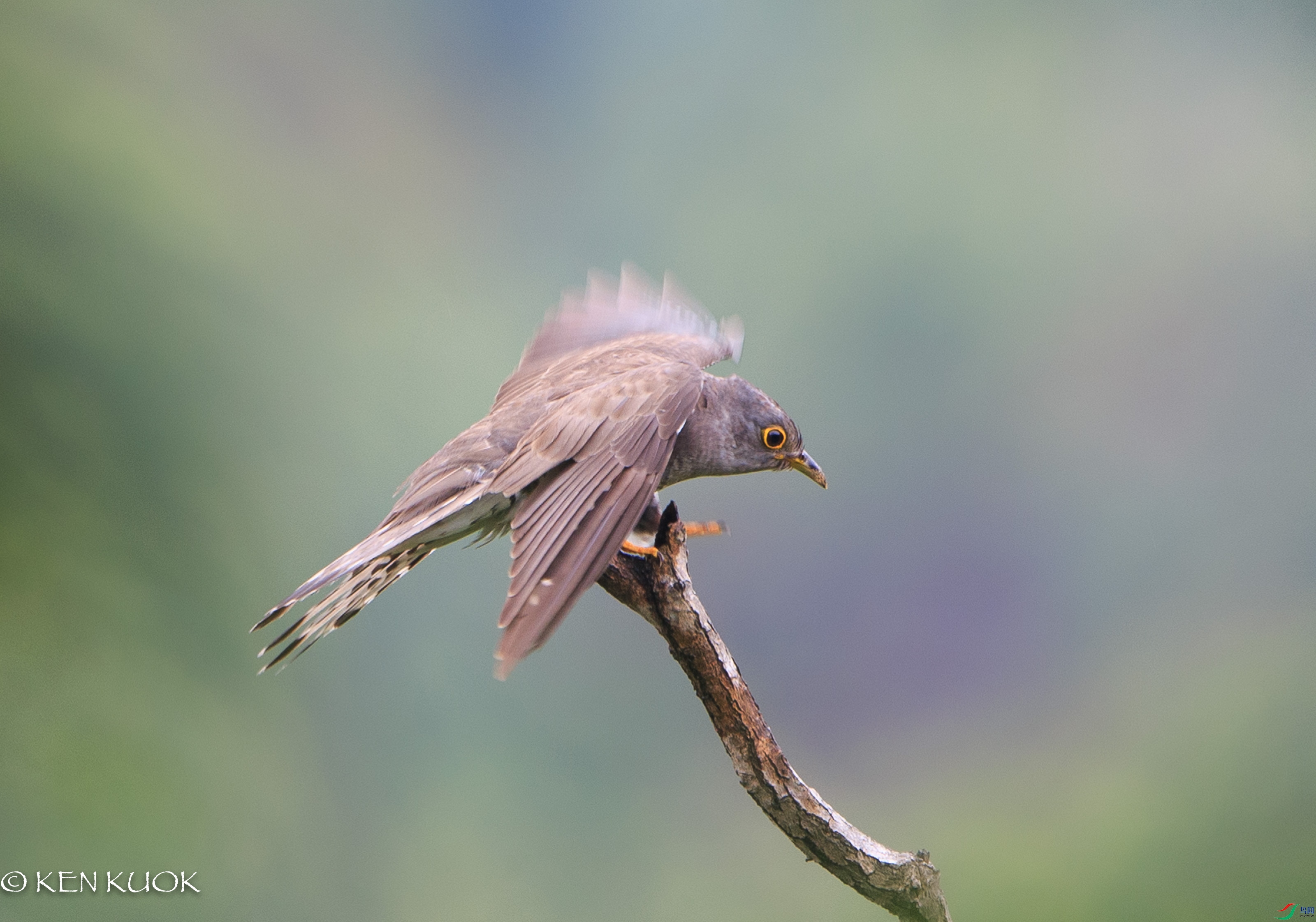 1DX_7336.jpg