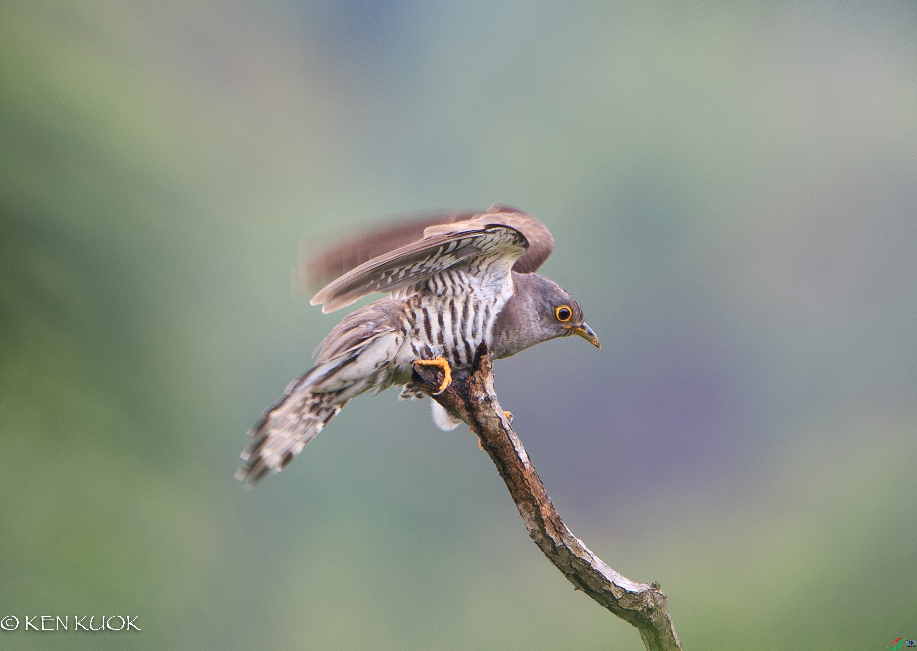 1DX_7337.jpg