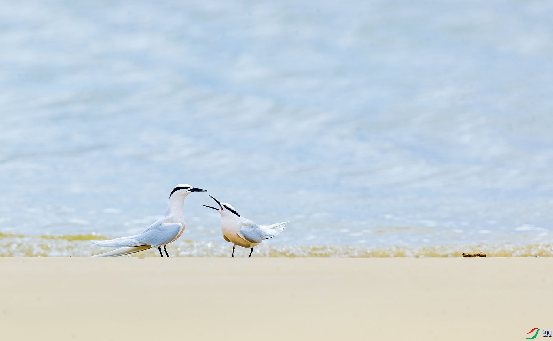 AE8I7970-2 ����-3 ����.jpg