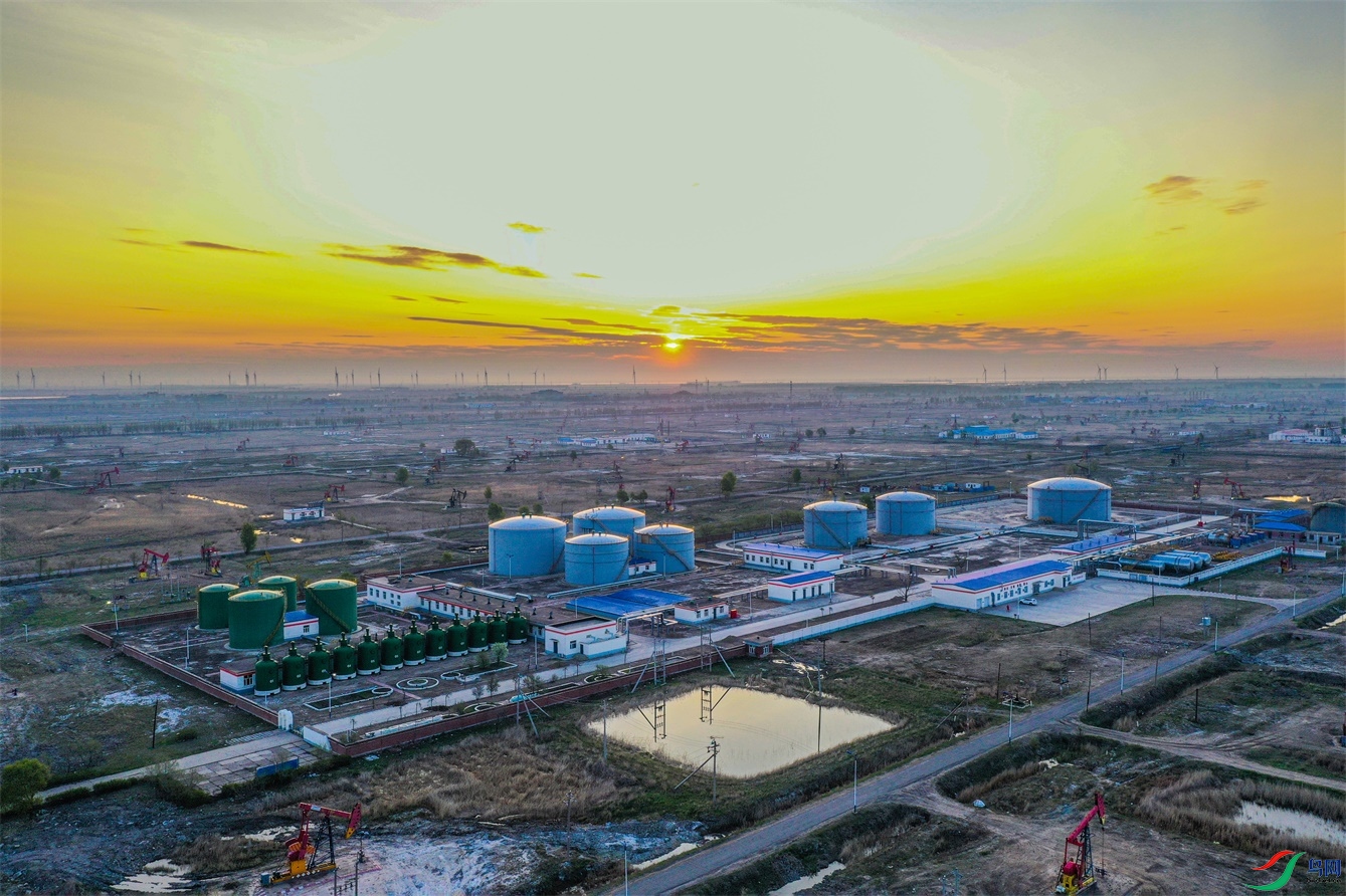 DJI_0733 ����1.jpg