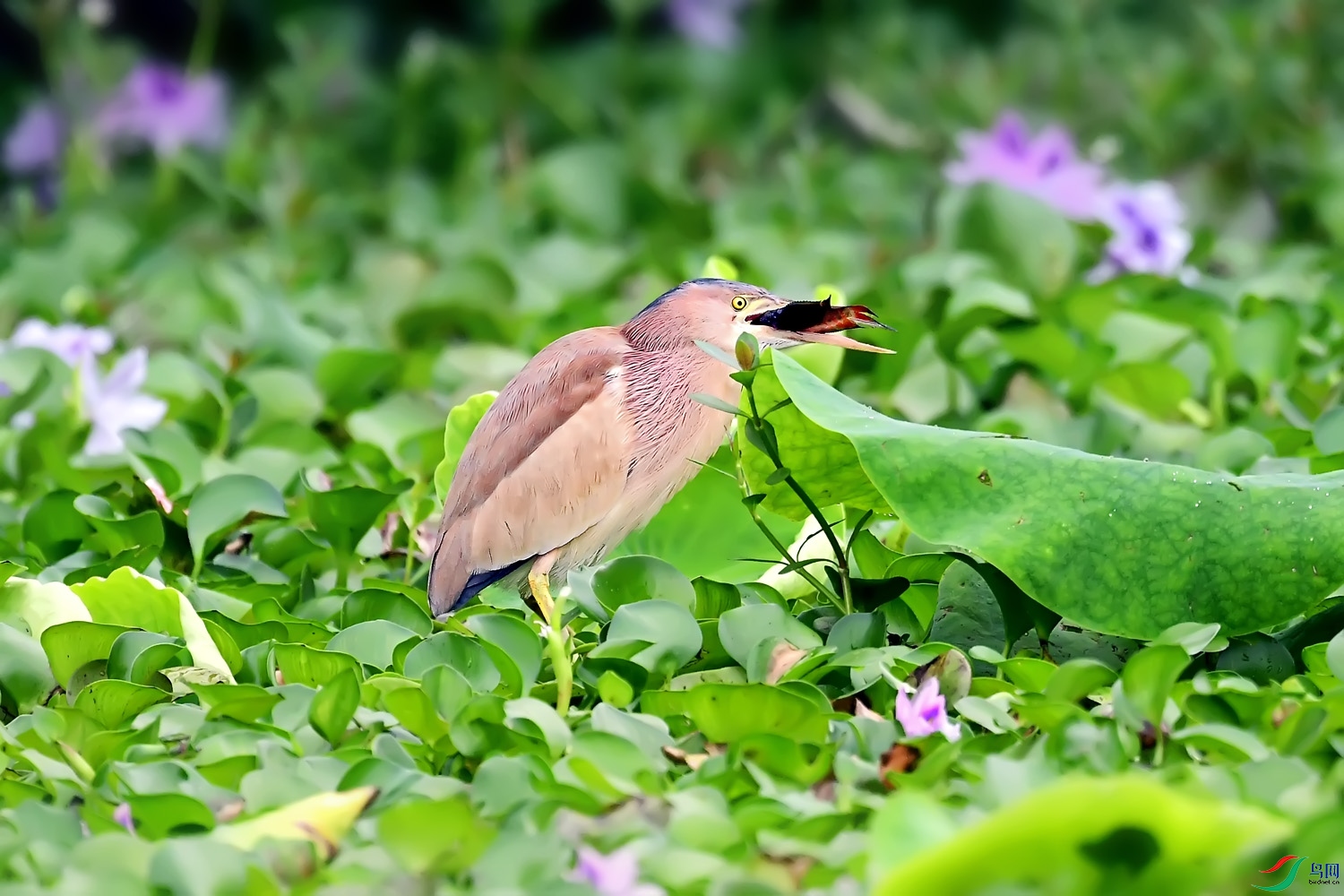 DSC_0829.jpg