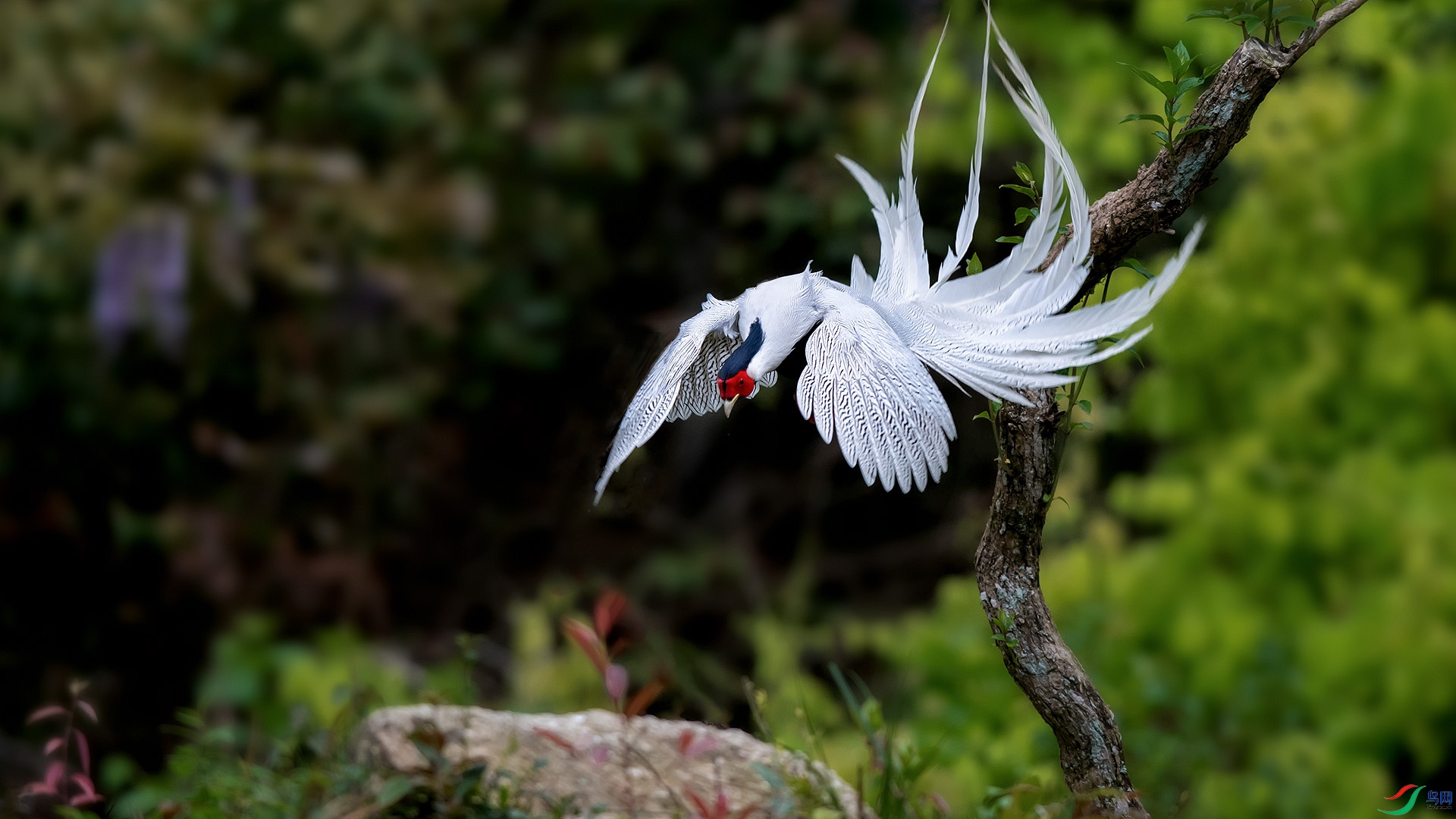 _CGS1005.jpg