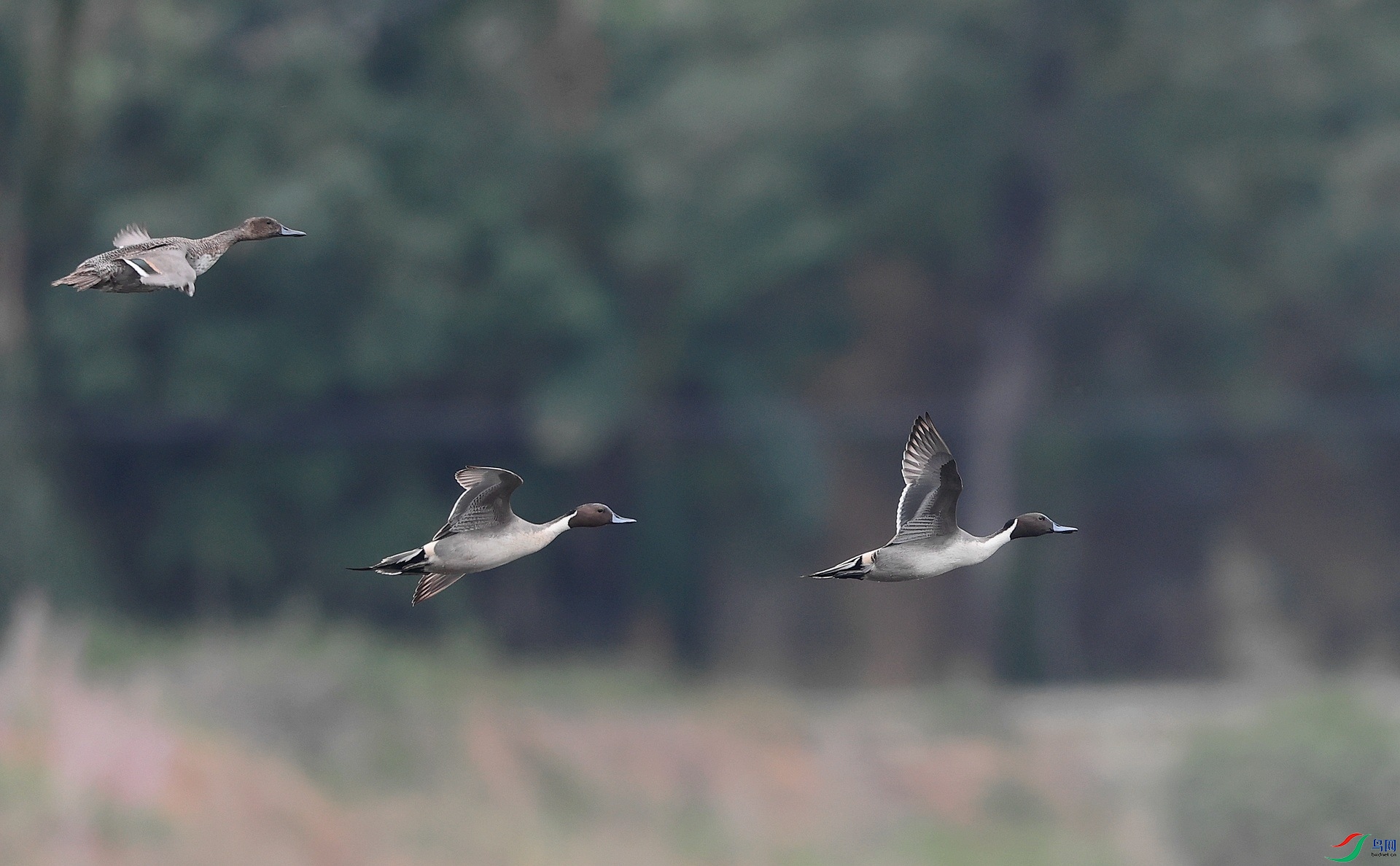 7.AK1I0713 - ����.JPG