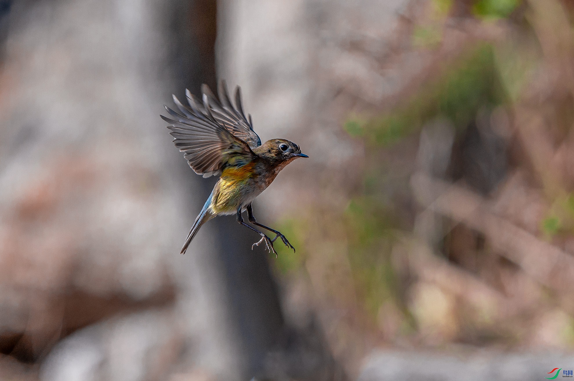 DSC_6779.jpg