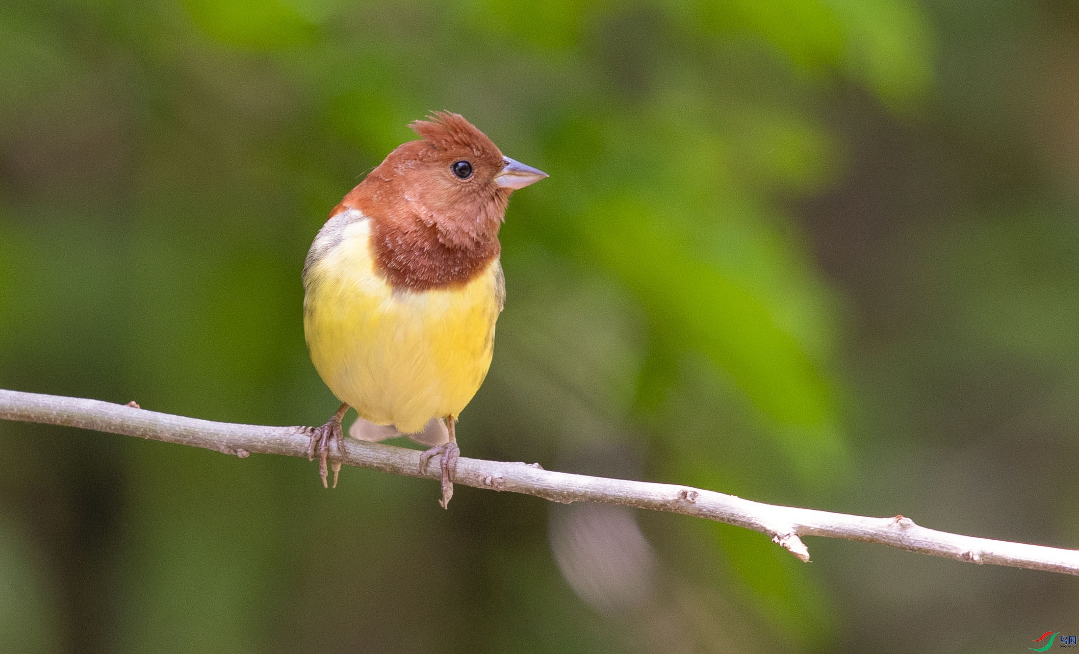 _K8I8147   ���M03.jpg