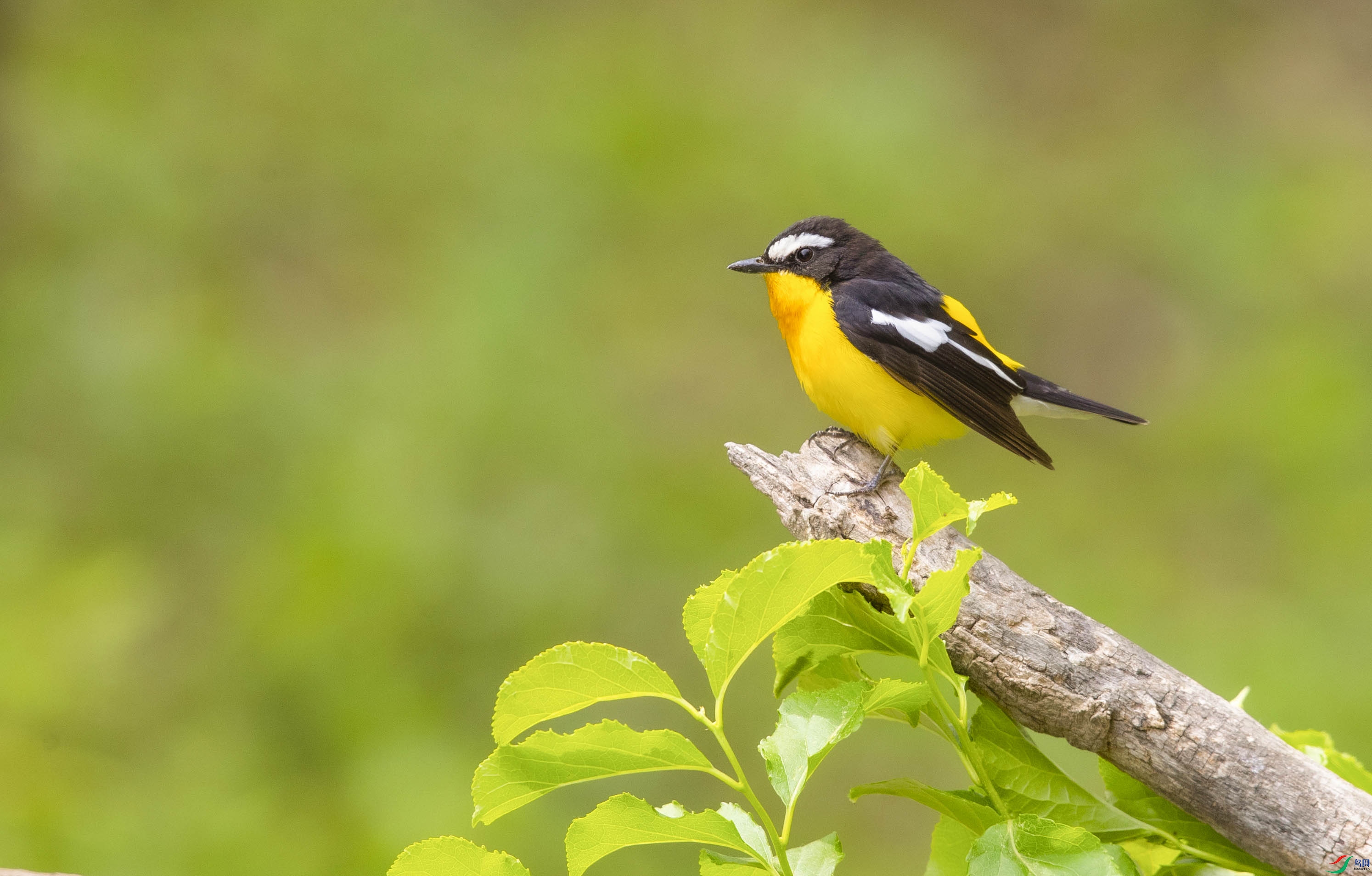 _K8I8556   ��ü���l03.jpg