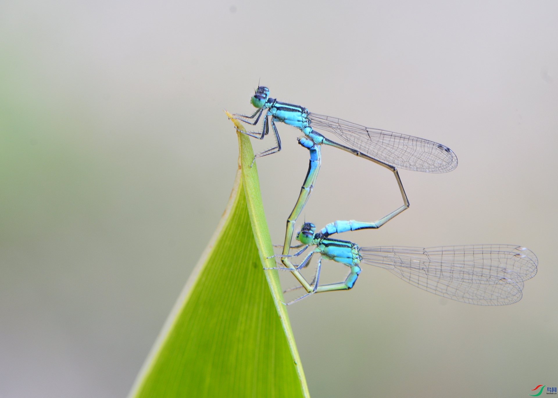 ������Ӱ 2605����.jpg