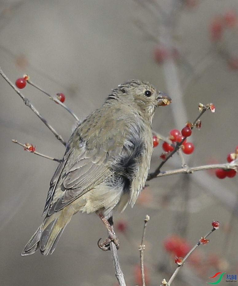 ��������԰ (17)����.jpg