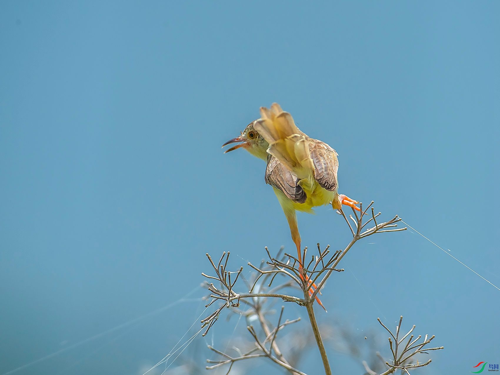 DSC_6344.jpg