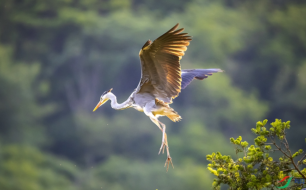 _30I5649 ����a-3c.jpg