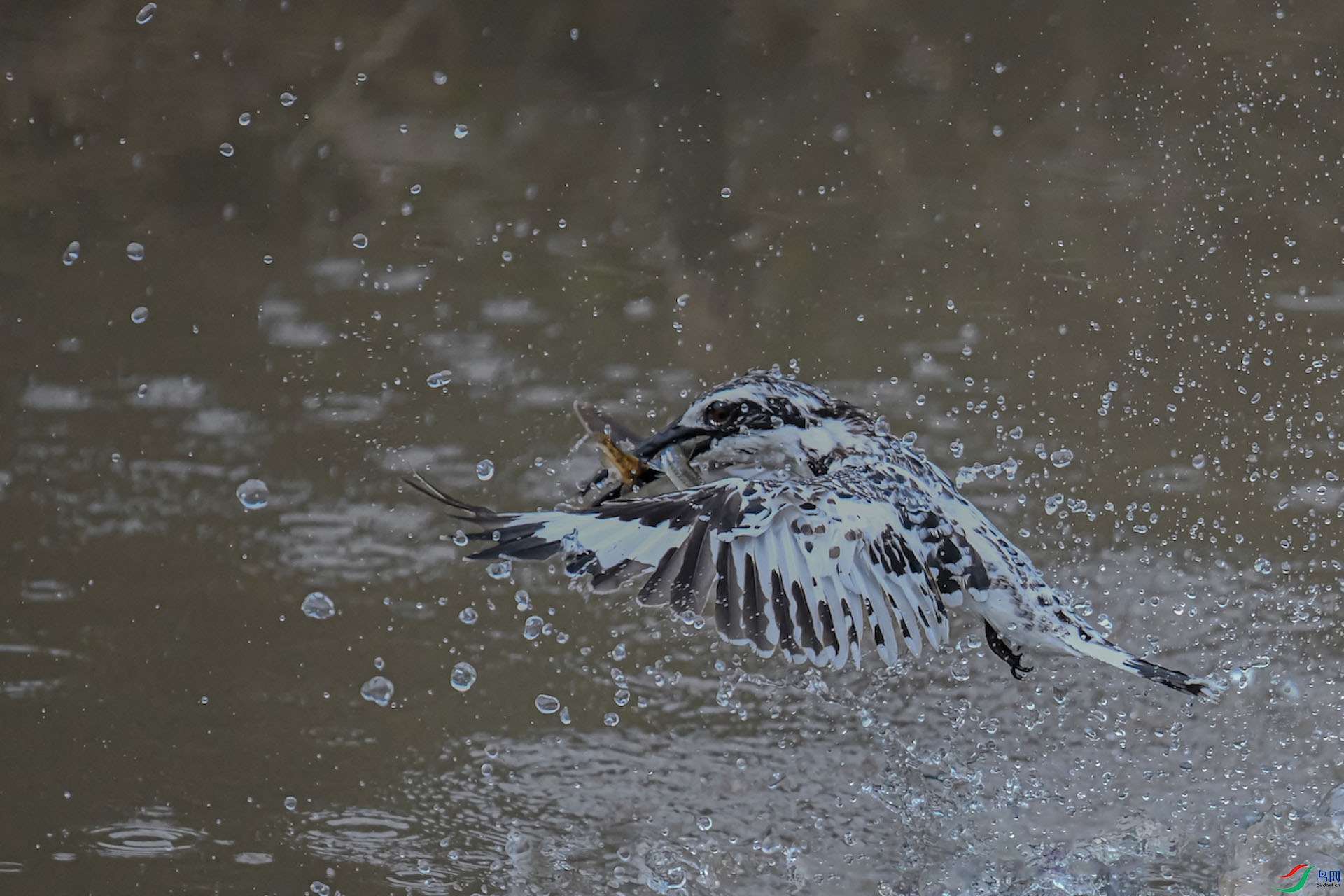 DSC_7458 ����.jpg