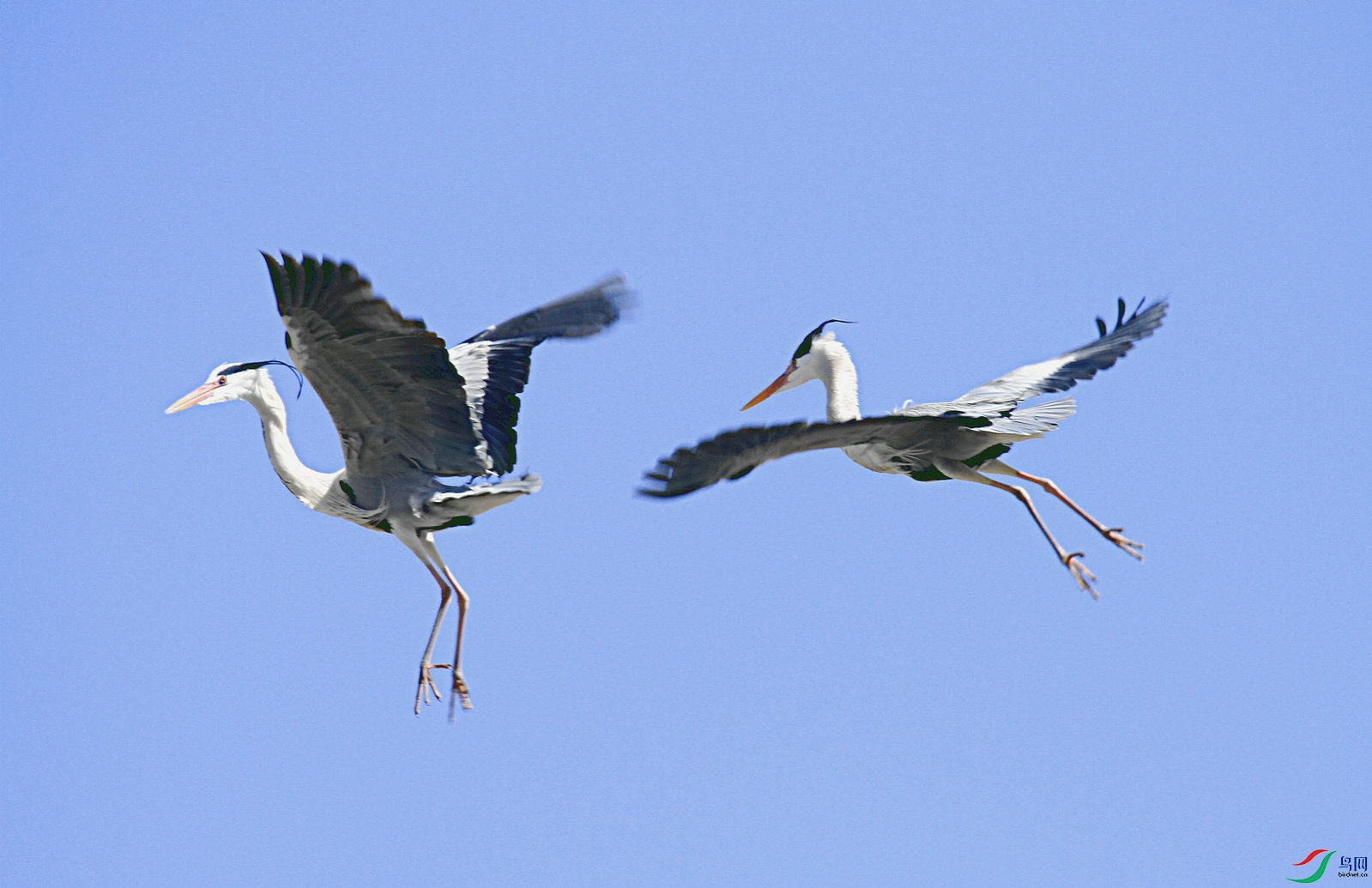 ���� A 02.jpg