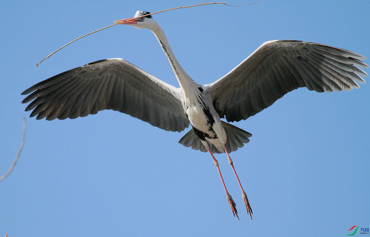 ���� C 08.jpg