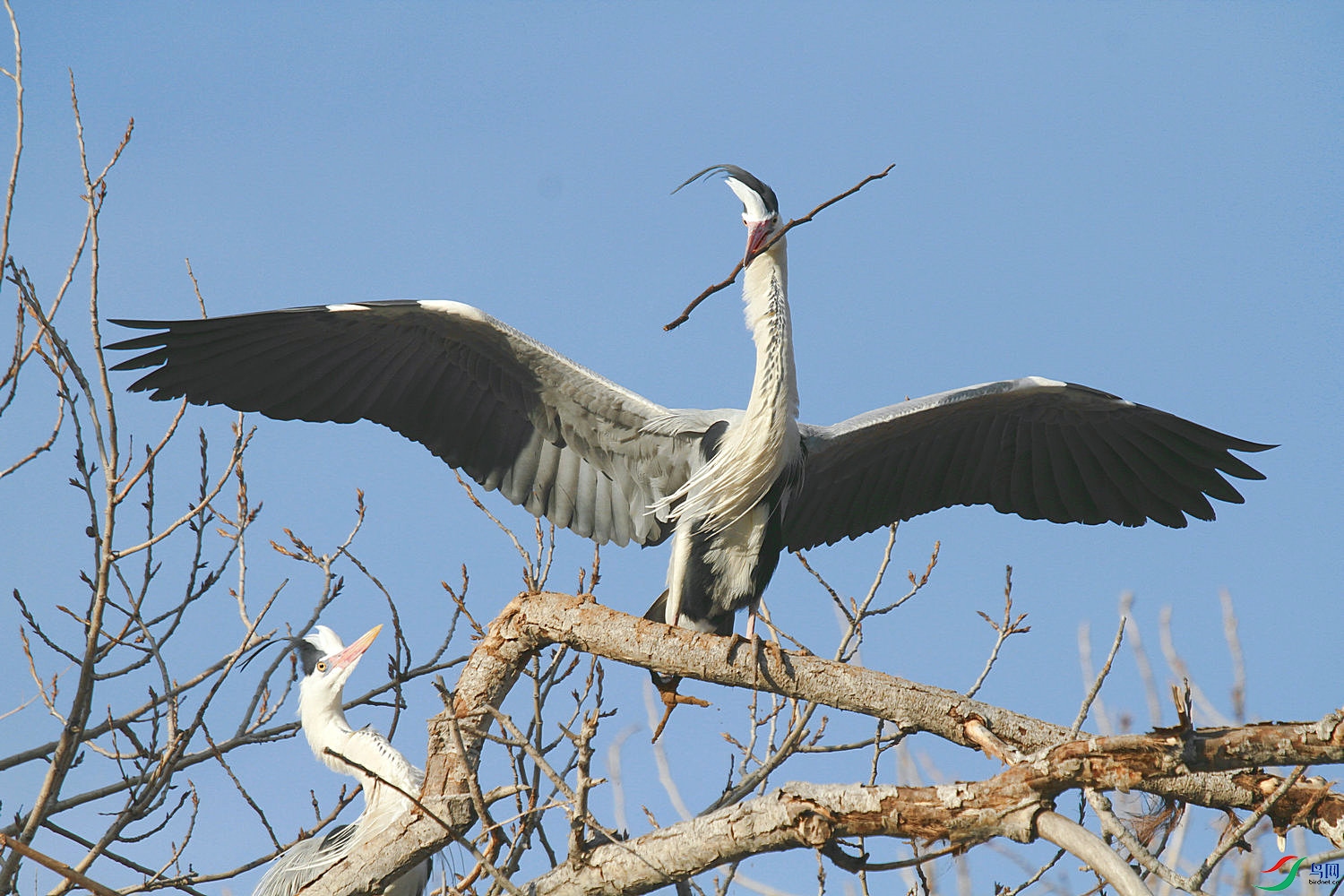 ���� C 18.jpg