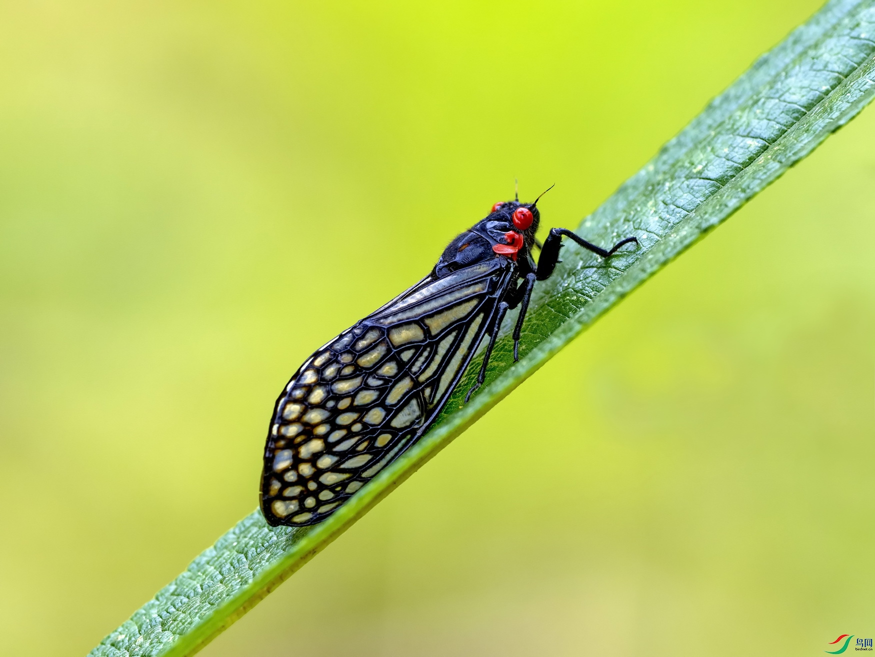 ��ü���۲�  (5)-1.jpg