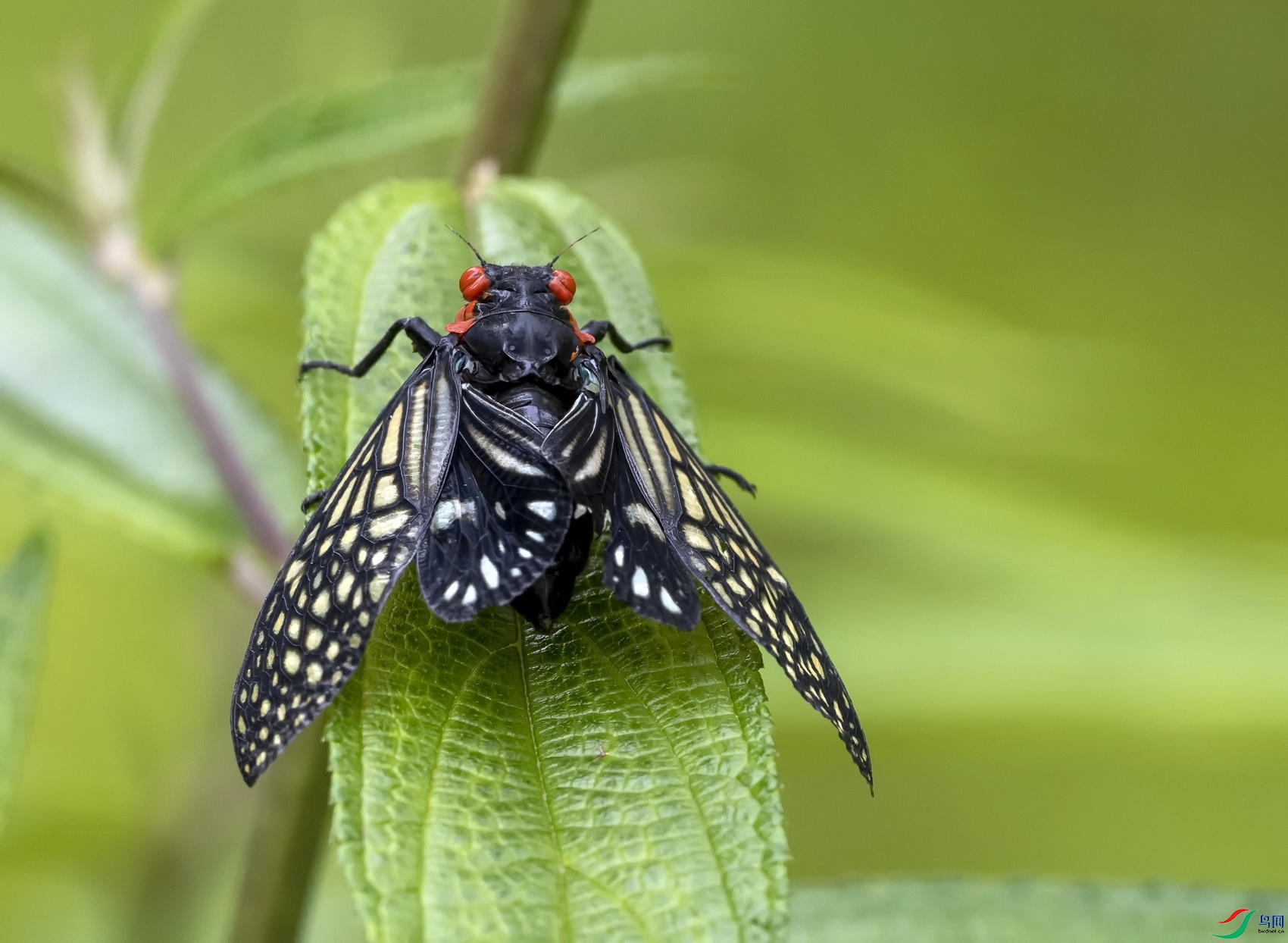 ��ü���۲�  (7)-1.jpg