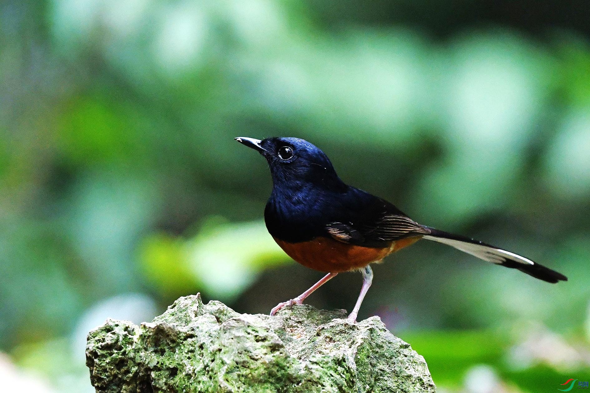 NIKON D500672_����.jpg