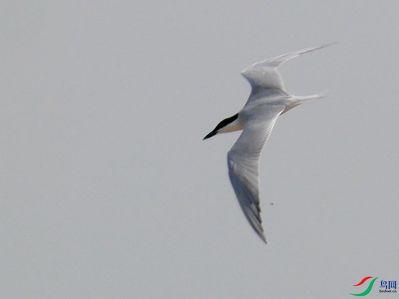 P8710578 - ����.JPG