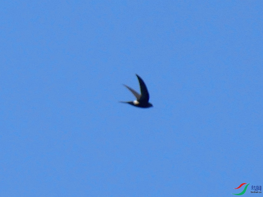 P8710103 - ����.JPG