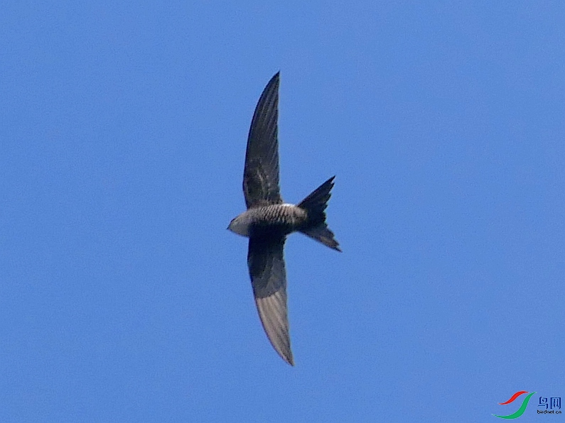 P8710120 - ����.JPG