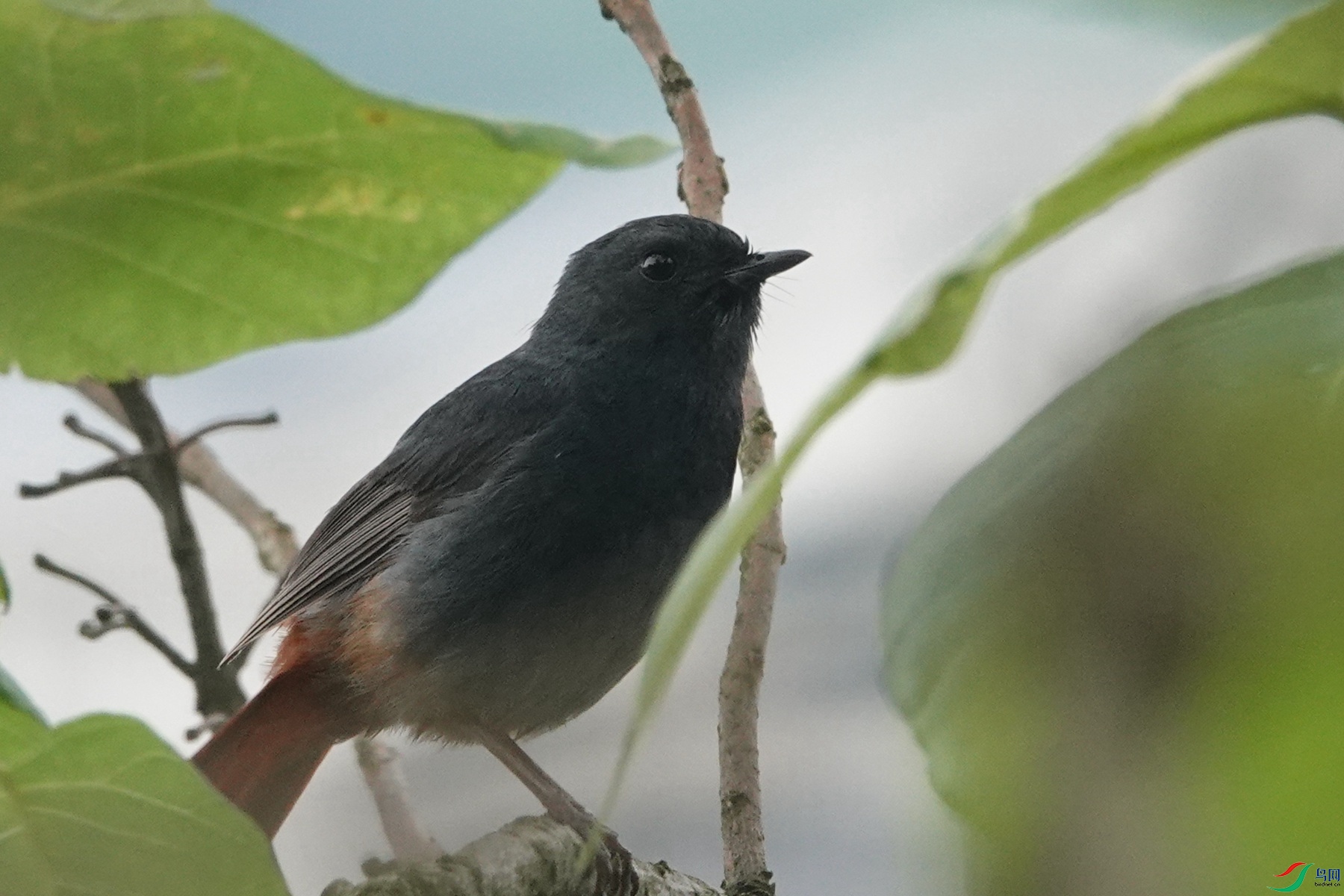 24Q (102)_����.jpg