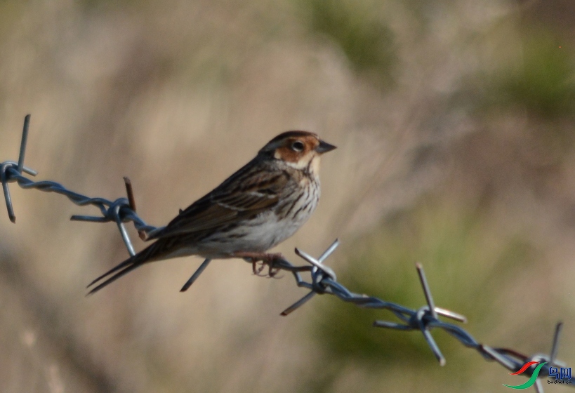 2142c31f23bea722ae1e42b753c3883 ����.jpg