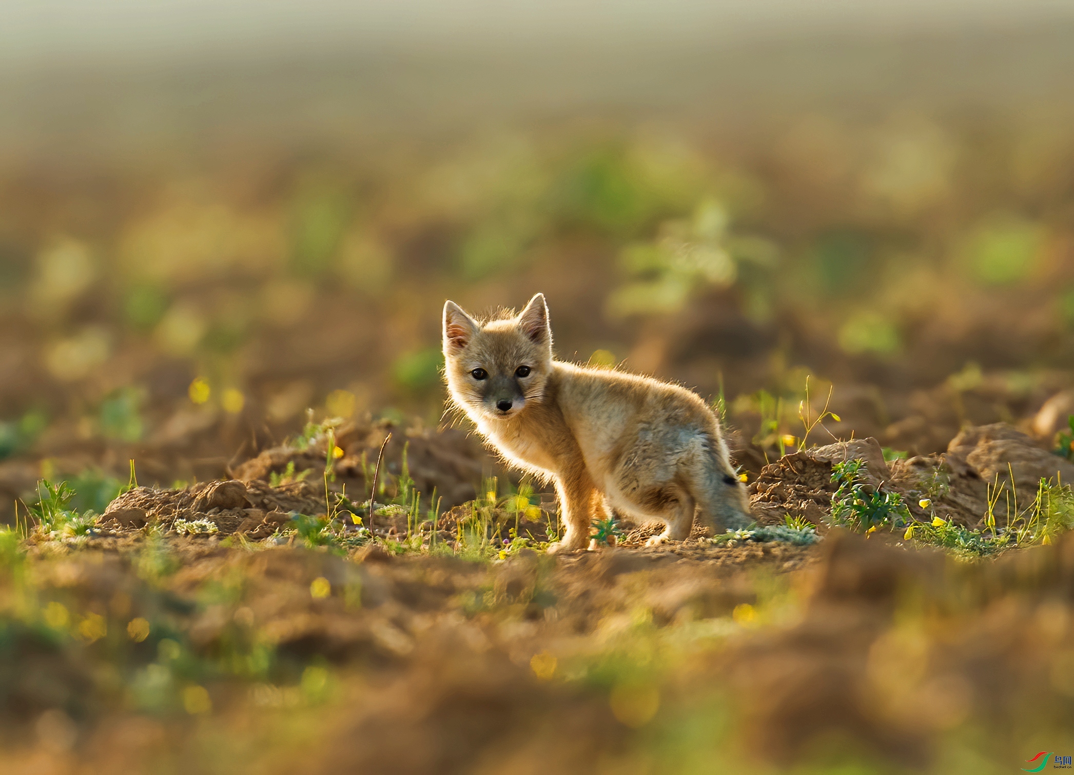 YJY_4550 ����_����_����.jpg