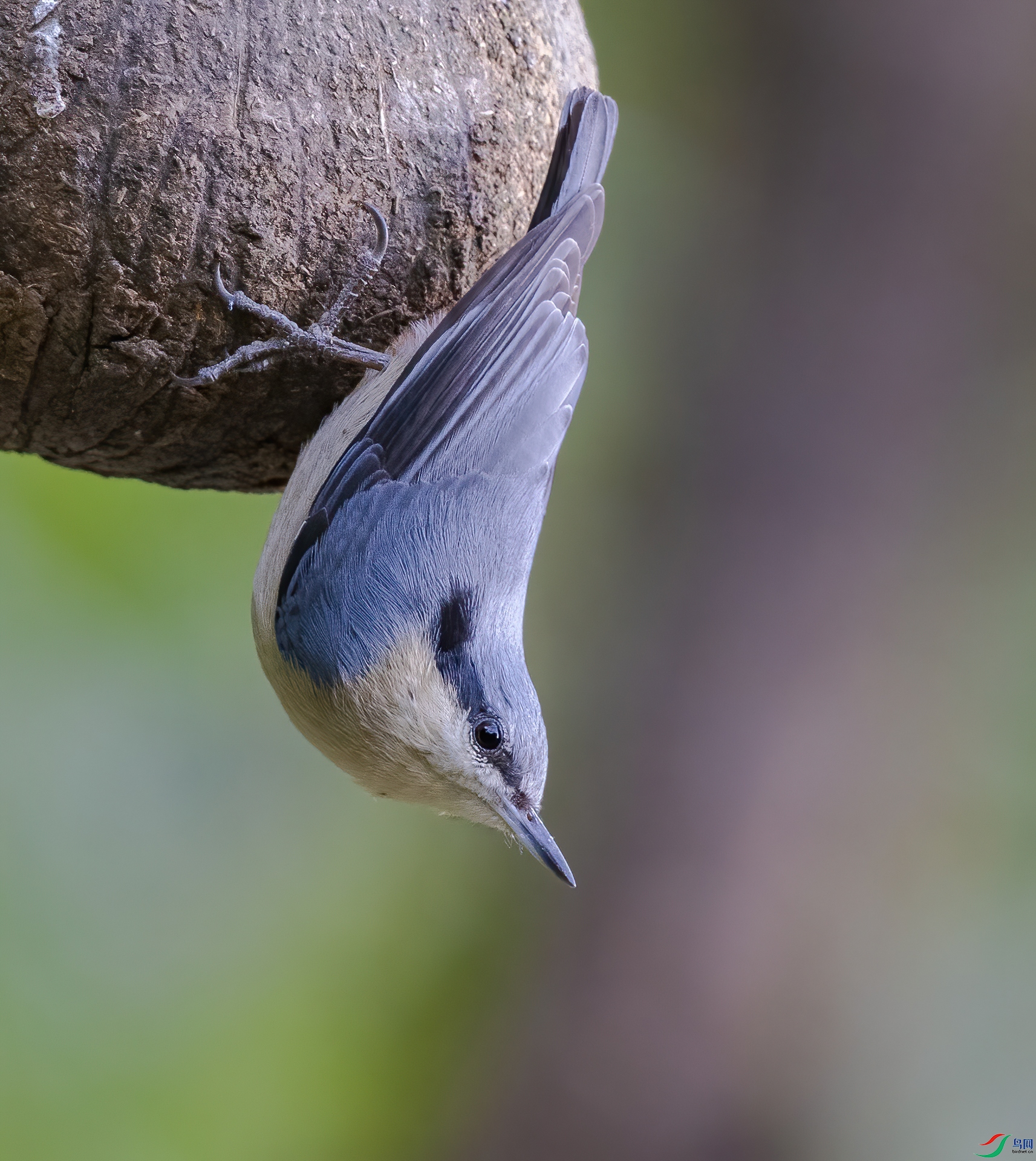 DSC_7632.jpg