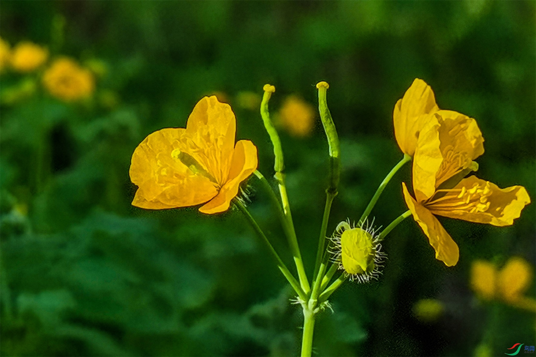 3721 ����1.jpg