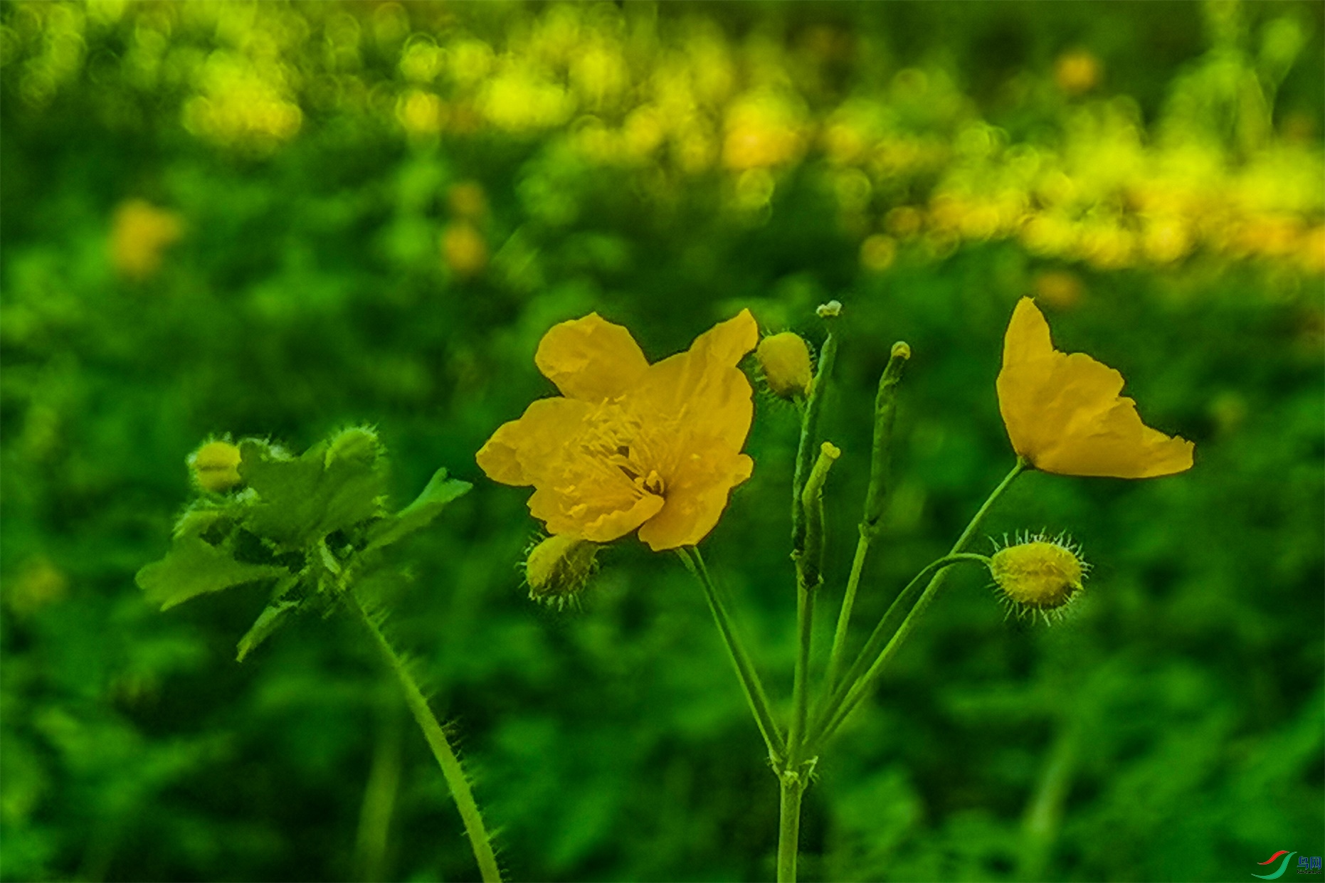 3724 ����1.jpg