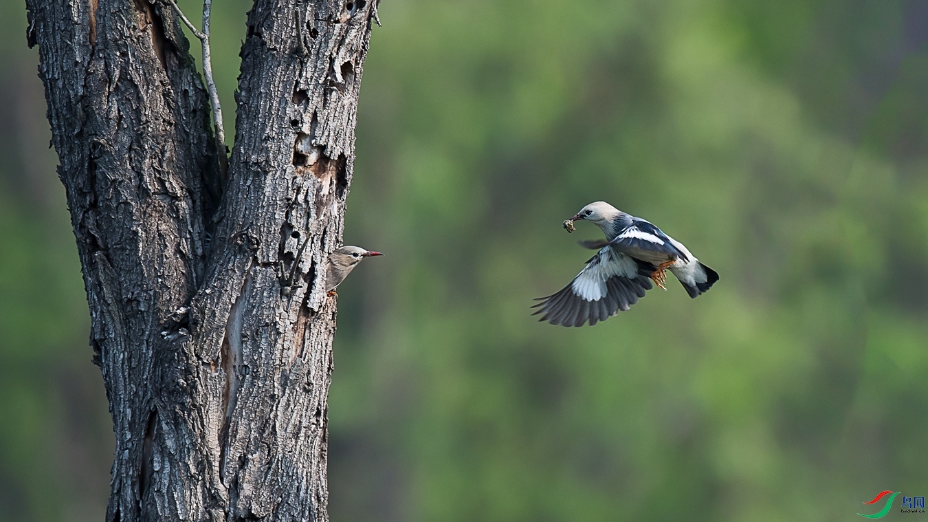 DSC_8817 - ����.jpg