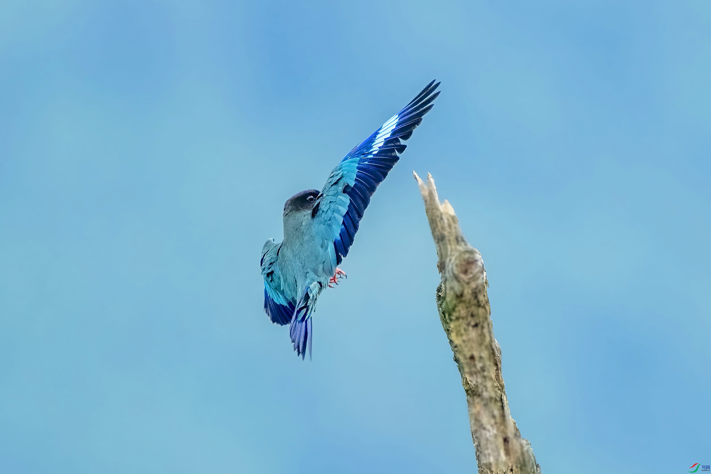 DSC_0569_����.jpg