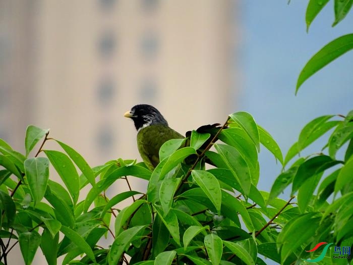 DSC01874.JPG