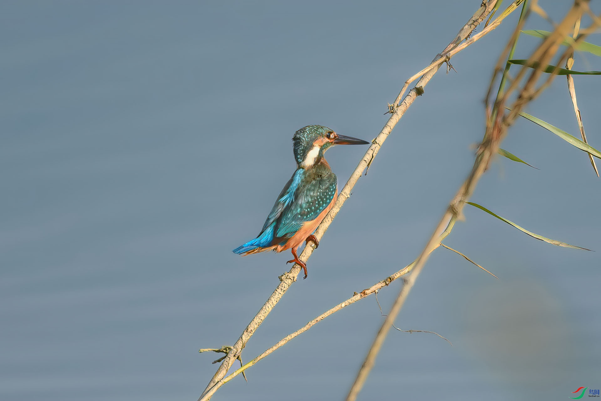 DSC_8396.jpg