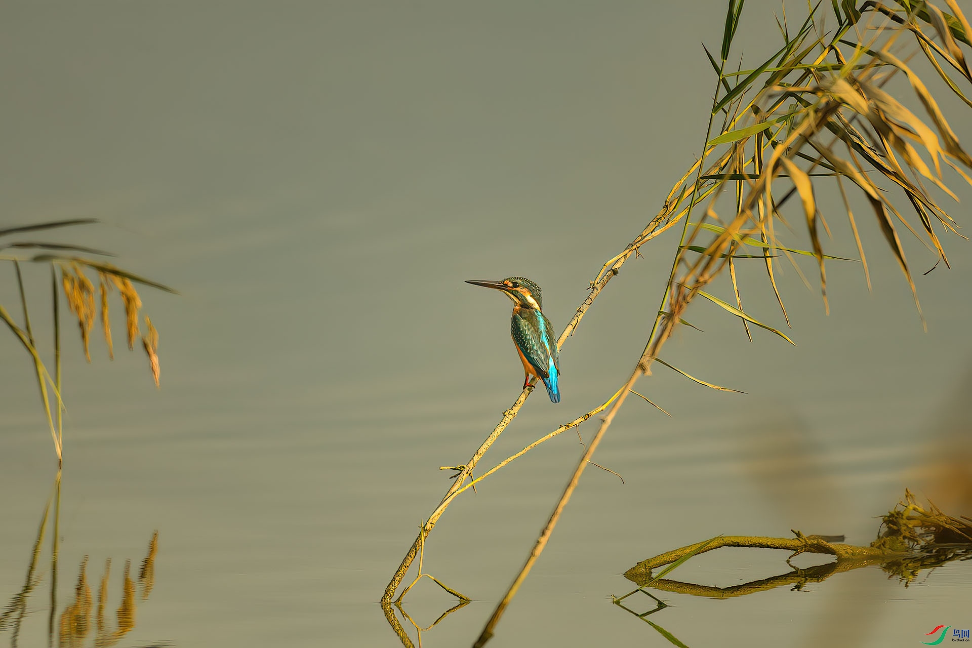 DSC_8476.jpg
