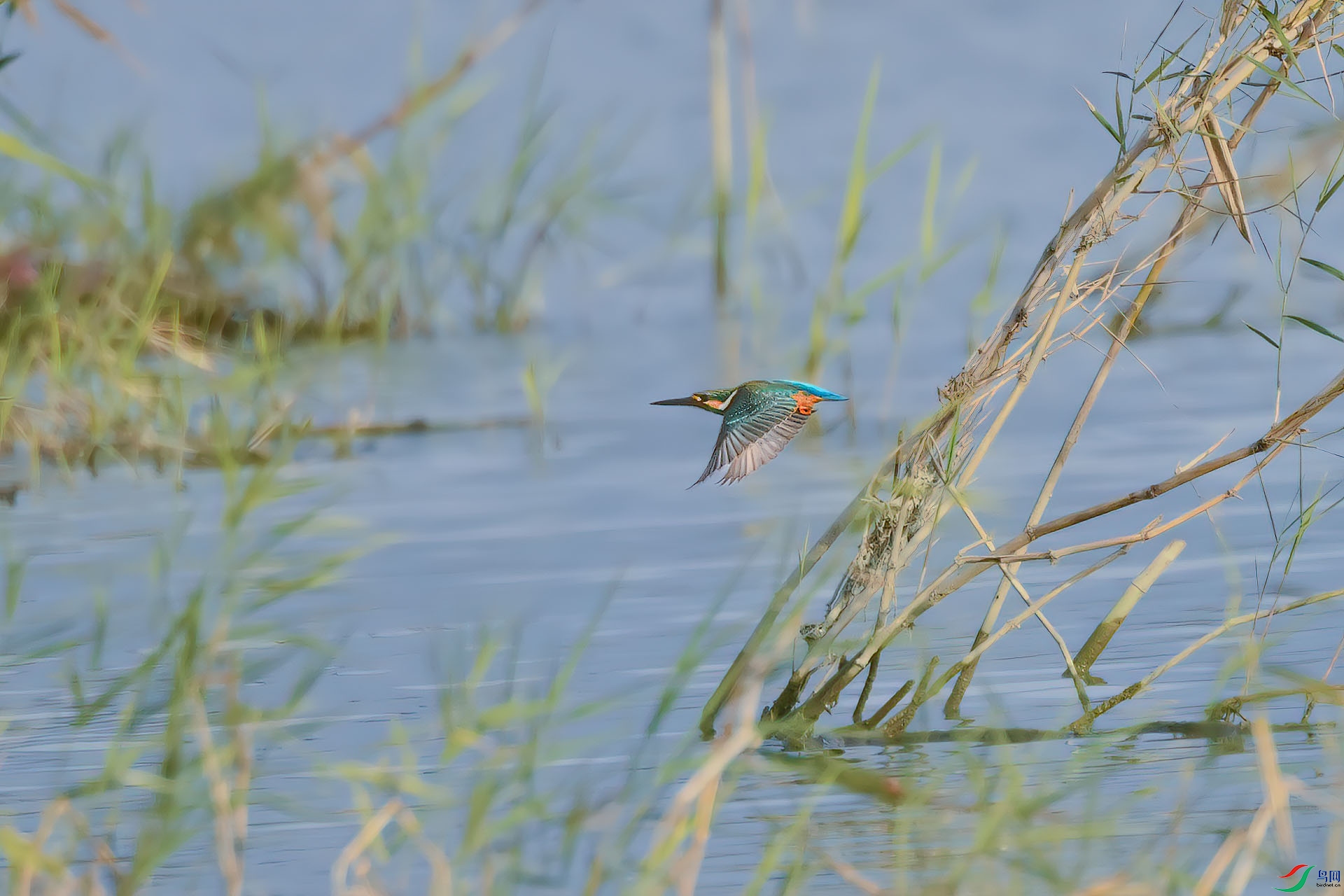 DSC_8586.jpg