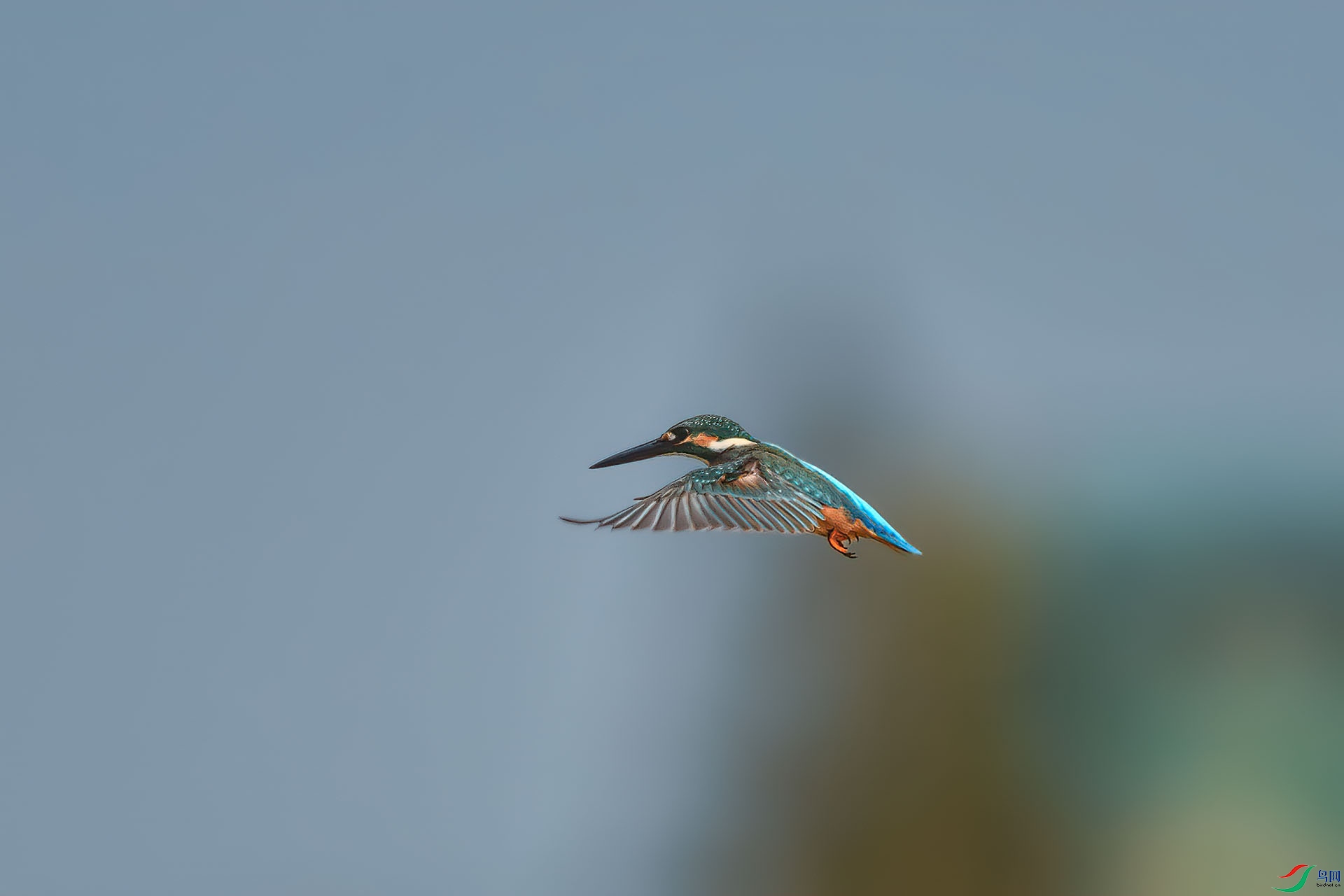 DSC_8500.jpg