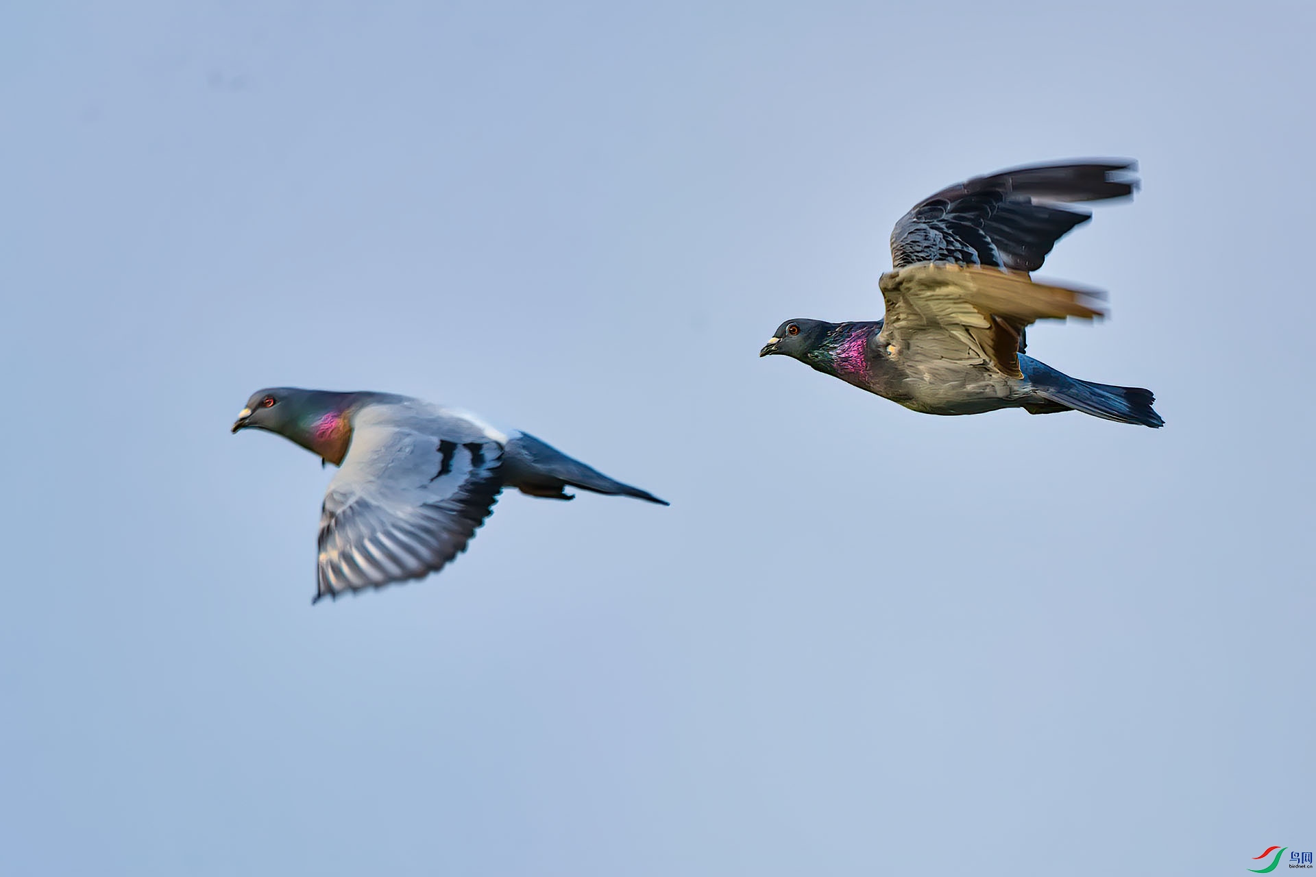 DSC_8652.jpg