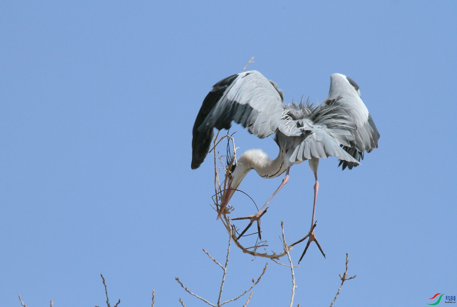 ���� C 29.jpg