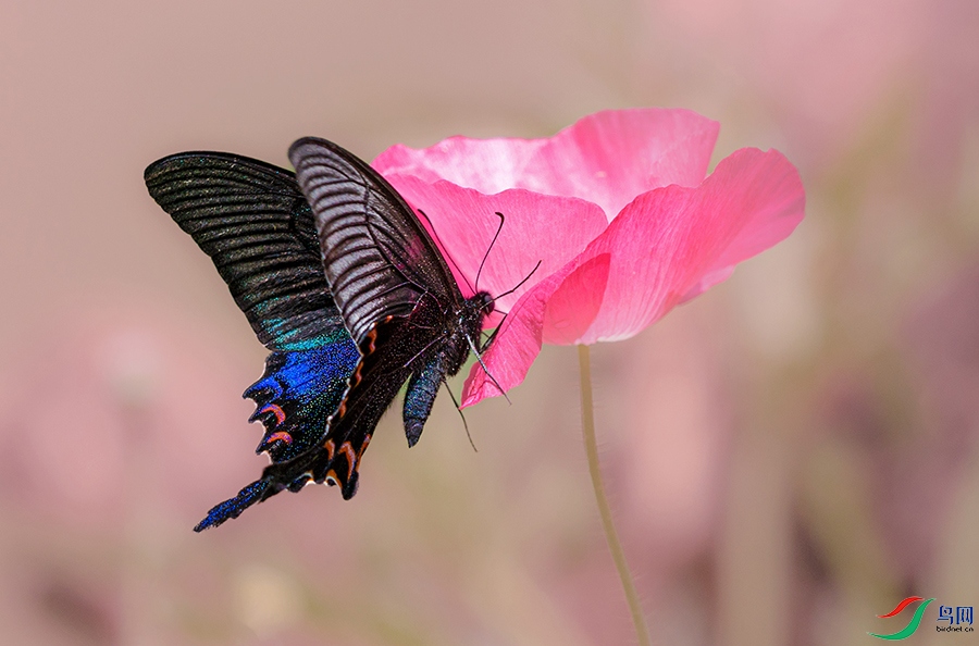 3V6A0757 ����.jpg