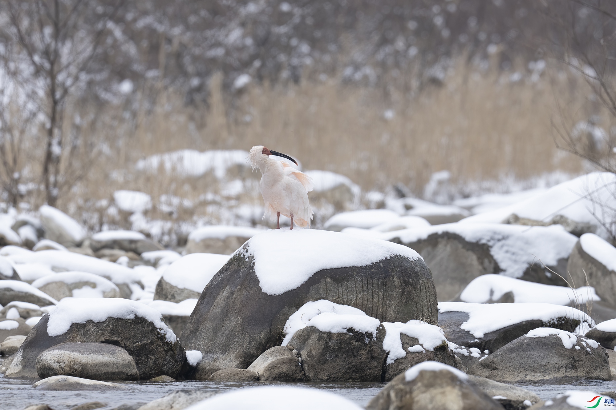 _DSC3606.jpg