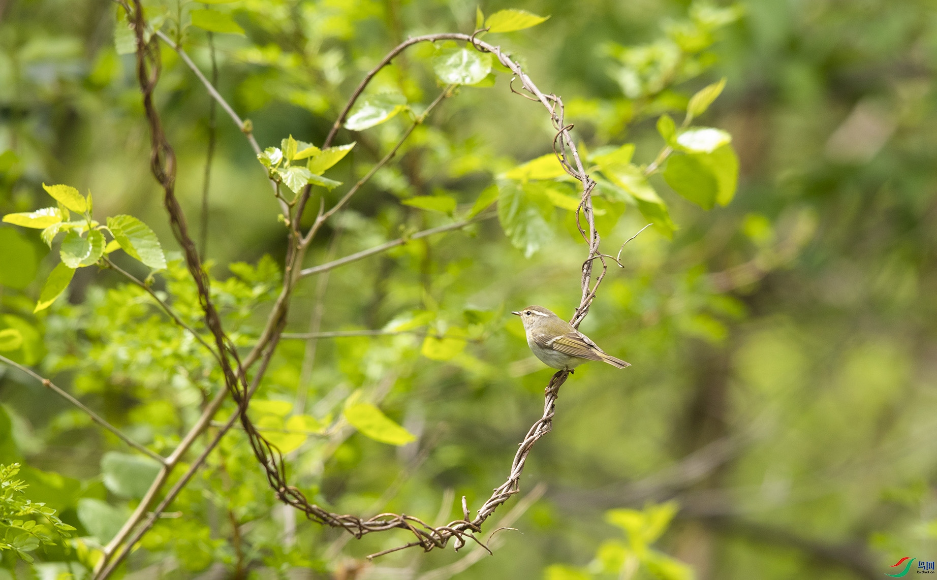 _K8I8264   ��ü��ݺ03.jpg