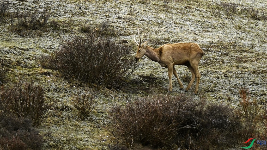 _DSC5950_����.jpg