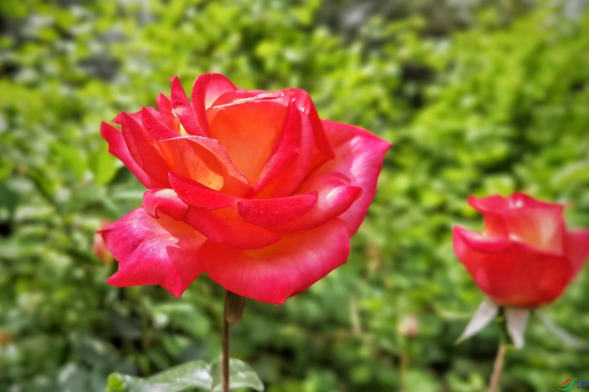 4d0634f18029be6589dd81e13c98547.jpg