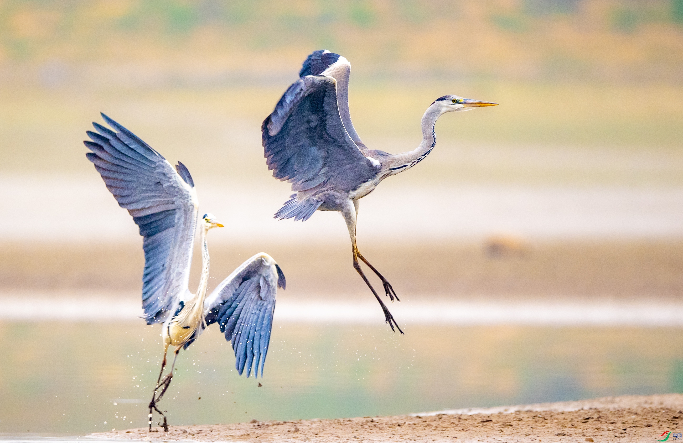 DSC_3326׷.JPG