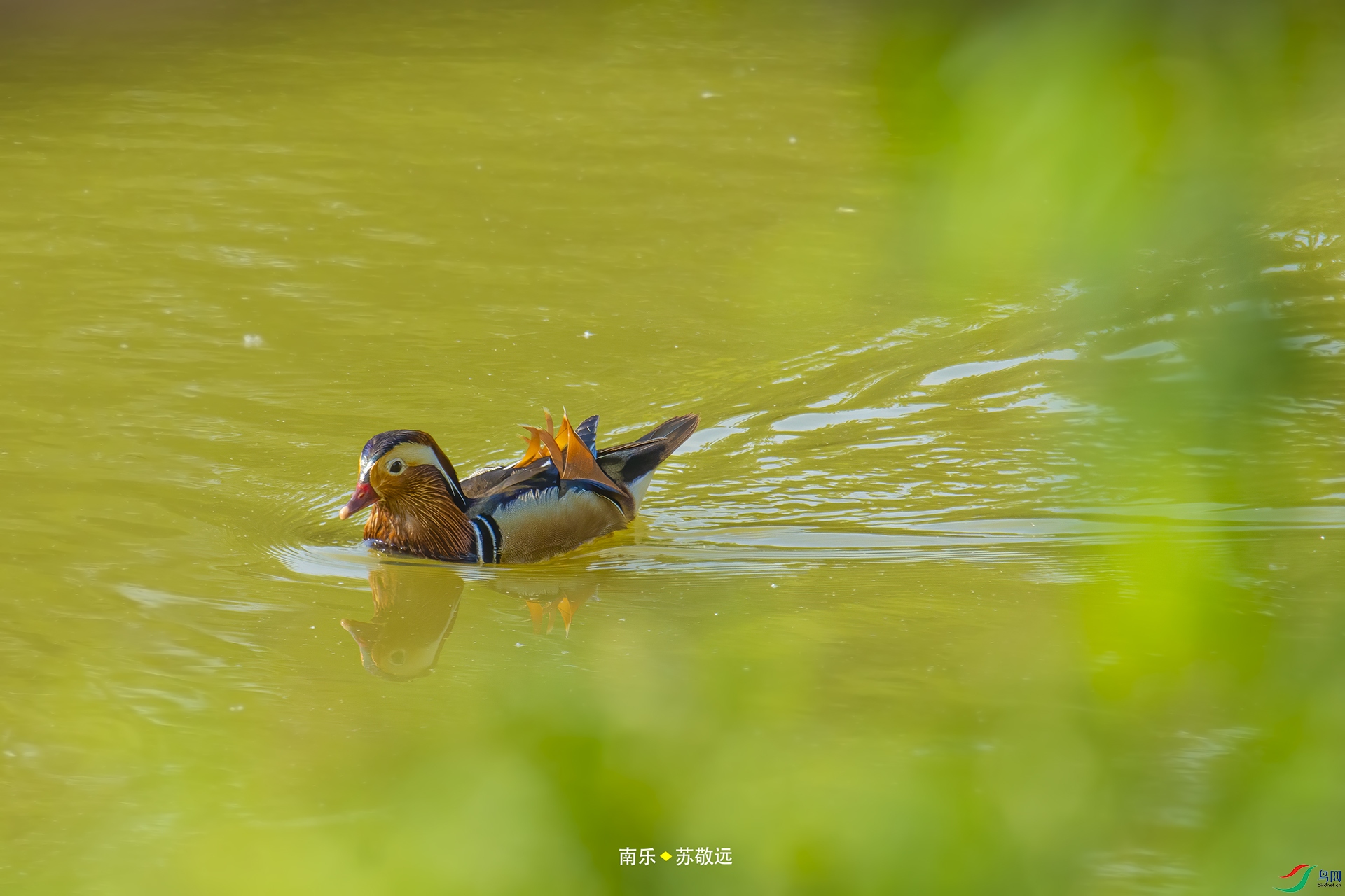 _DSC8553С.jpg