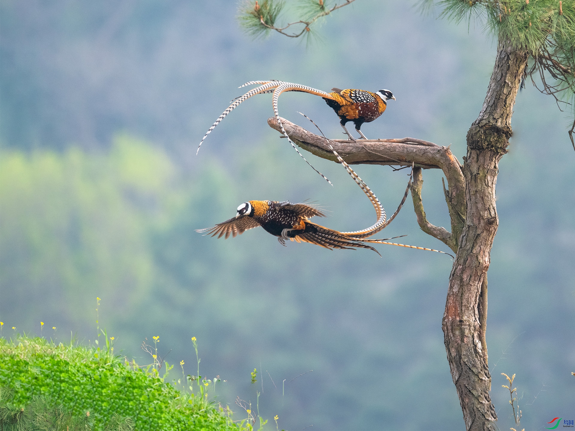 XQD_6949�׹ڳ�β��.jpg